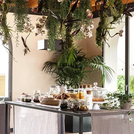 فندق سويت 4*